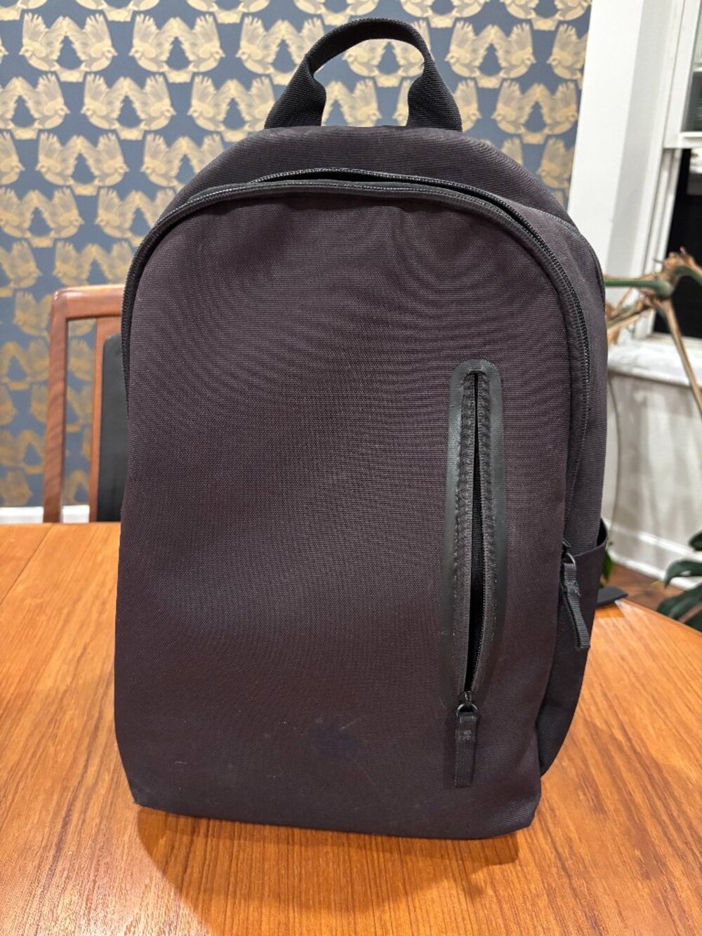 Everlane canvas backpack